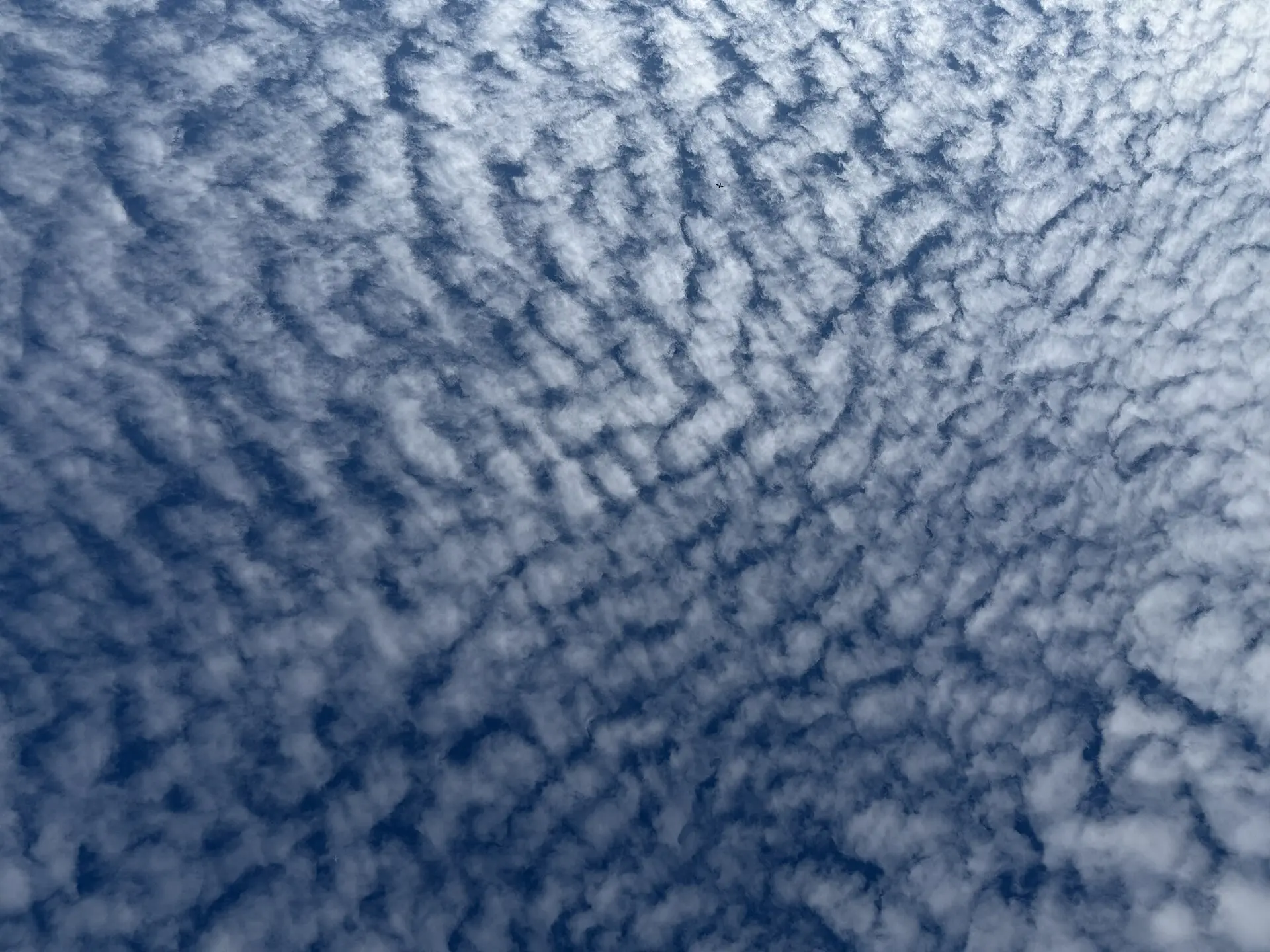 Altocumulus