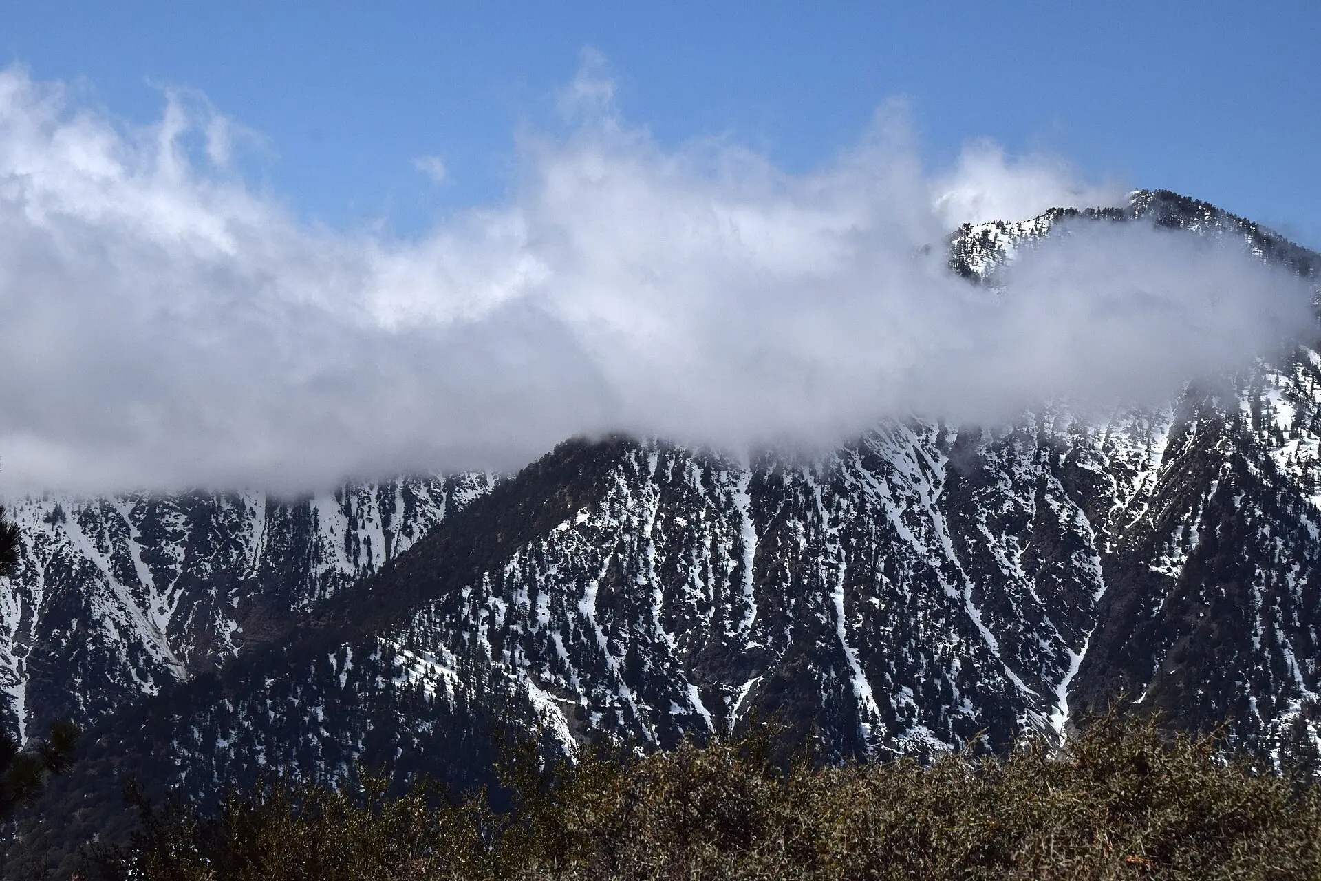 Stratus